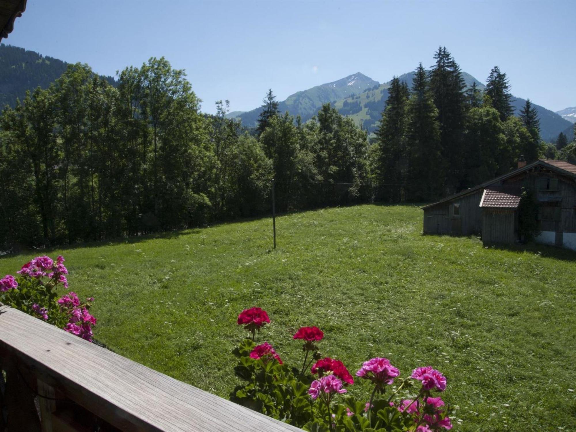 Apartment Steimandli By Interhome Gstaad Esterno foto